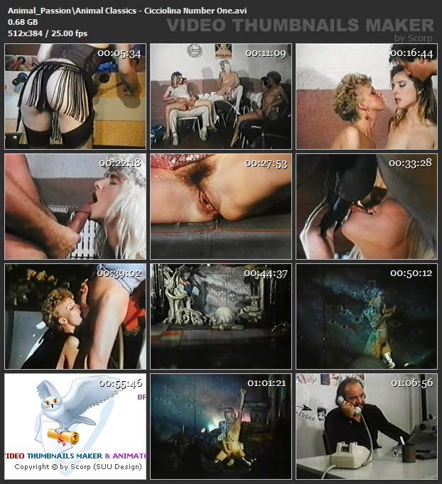 cachorro gozando DVDs Blu-ray porco comendo buceta filmes anal sexual amor zoofílico orgia no zoológico animal sexo tubo novinha gostosa brasileira dando a sua buceta para o cavalo